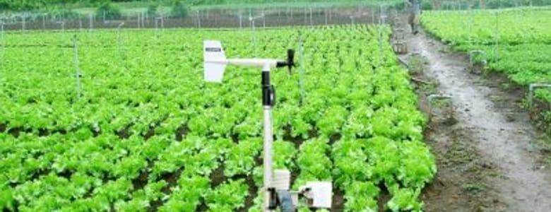 Ứng dụng công nghệ 4.0 trong dự báo thời tiết và bảo vệ thực vật | VTC16